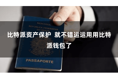 比特派资产保护 就不错运运用用比特派钱包了