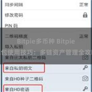 Bitpie多币种 Bitpie钱包使用技巧：多链资产管理全攻略