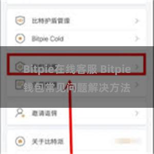 Bitpie在线客服 Bitpie钱包常见问题解决方法