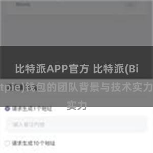 比特派APP官方 比特派(Bitpie)钱包的团队背景与技术实力
