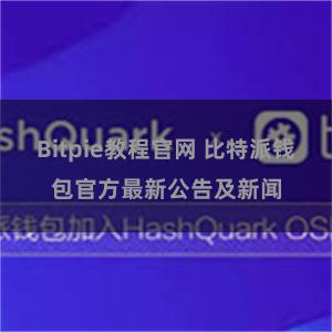 Bitpie教程官网 比特派钱包官方最新公告及新闻