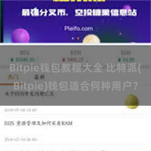 Bitpie钱包教程大全 比特派(Bitpie)钱包适合何种用户？