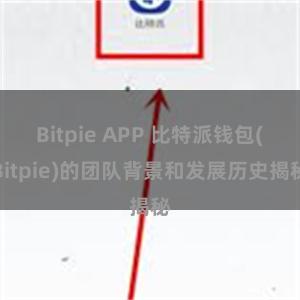 Bitpie APP 比特派钱包(Bitpie)的团队背景和发展历史揭秘