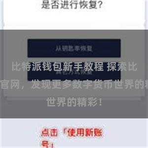 比特派钱包新手教程 探索比特派官网，发现更多数字货币世界的精彩！