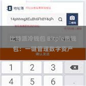 比特派冷钱包 Bitpie热钱包：一键管理数字资产