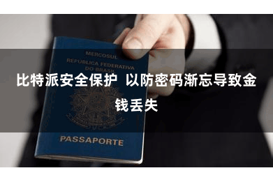 比特派安全保护  以防密码渐忘导致金钱丢失