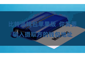比特派钱包苹果版  你需要输入摄取方的钱包地址
